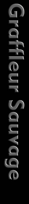 Graffleur Sauvage